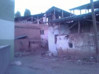 balca007.jpg