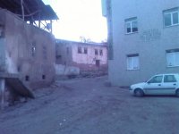 balca008.jpg