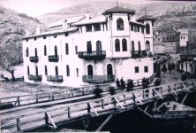 233697215_265.jpg