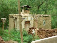 balca001.jpg