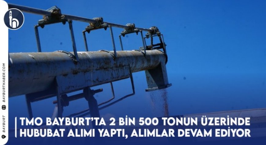 TMO Bayburt’ta 2 Bin 500 Tonun Üzerinde Hububat Alımı Yaptı, Alımlar Devam Ediyor