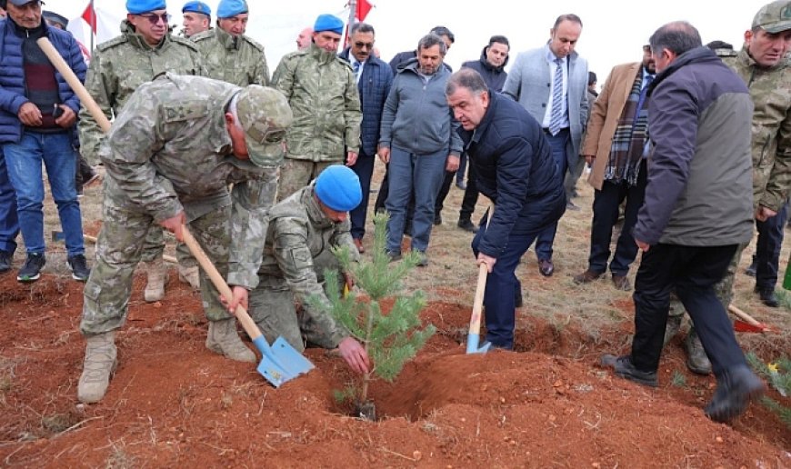 Aslan Dağı'na 40 bin fidan...