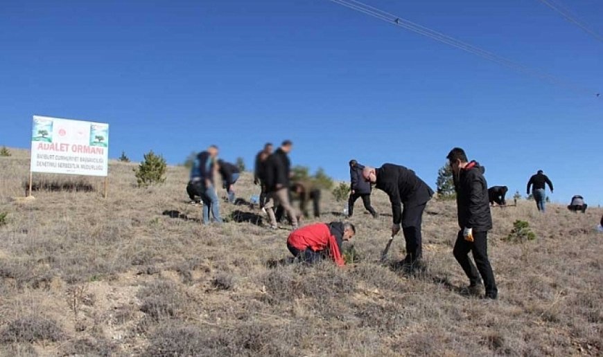 Milli Ağaçlandırma Günü’nde 400 fidan dikildi