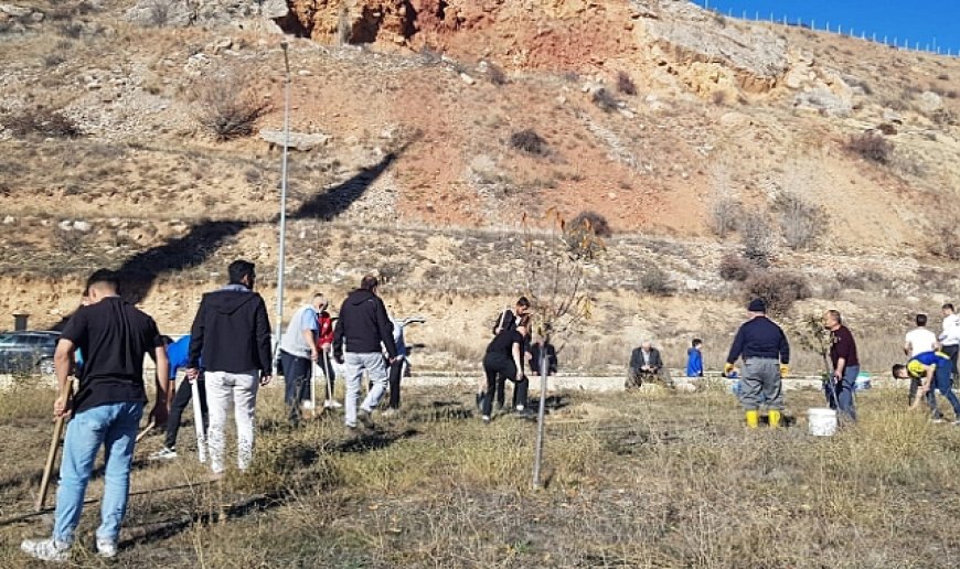 Bayburt’ta fidanlar toprakla buluştu