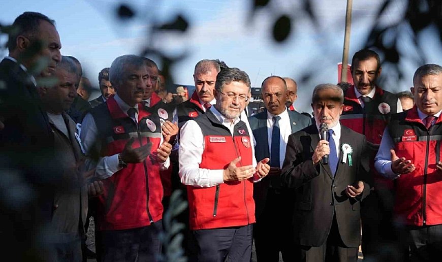 Tarım ve Orman Bakanı Yumaklı Kilis'te zeytin hasadına katıldı