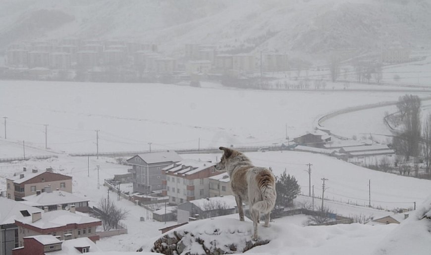 Bayburt için kar yağışı uyarısı