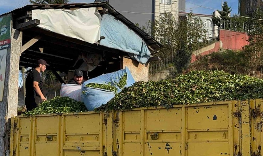 Kış geldi, çay sezonu bitmedi