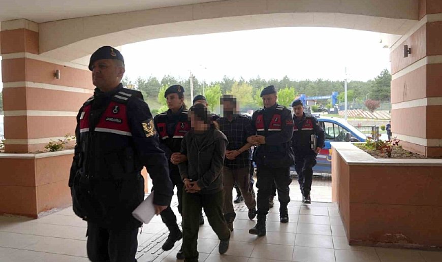 Evlerini kenevir serasına çevirdiler, kendilerini 'hastalığıma iyi geliyordu' diyerek savundular