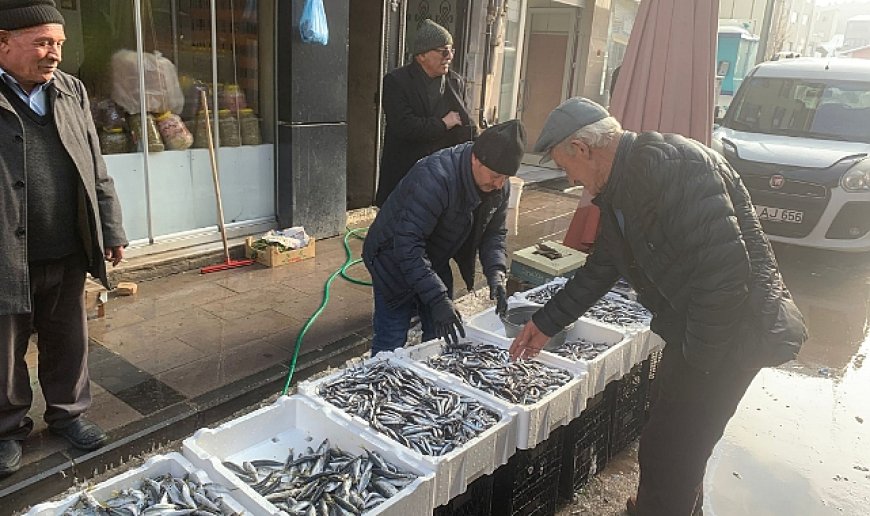 Bayburt’ta tezgahların gözdesi hamsi