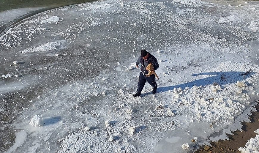 Buz tutan nehre giren kediyi, itfaiye kurtardı