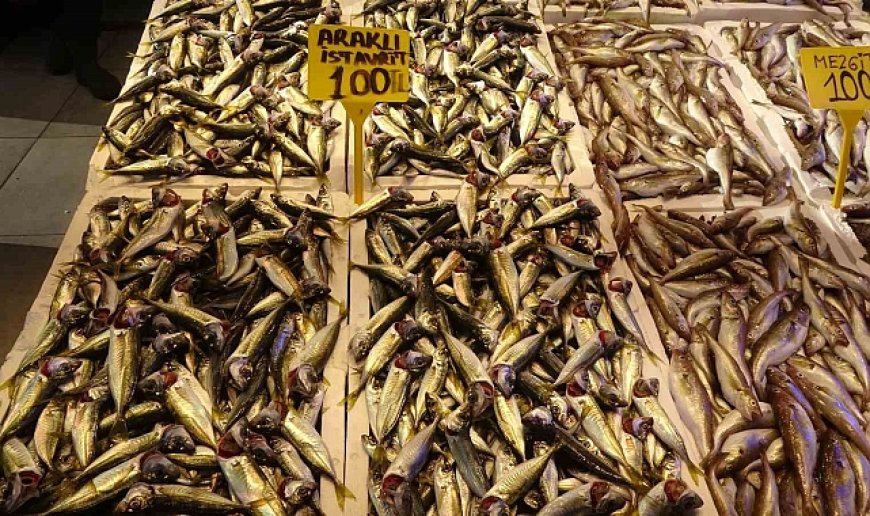 Tezgahlarda hamsi ve istavrit bolluğu