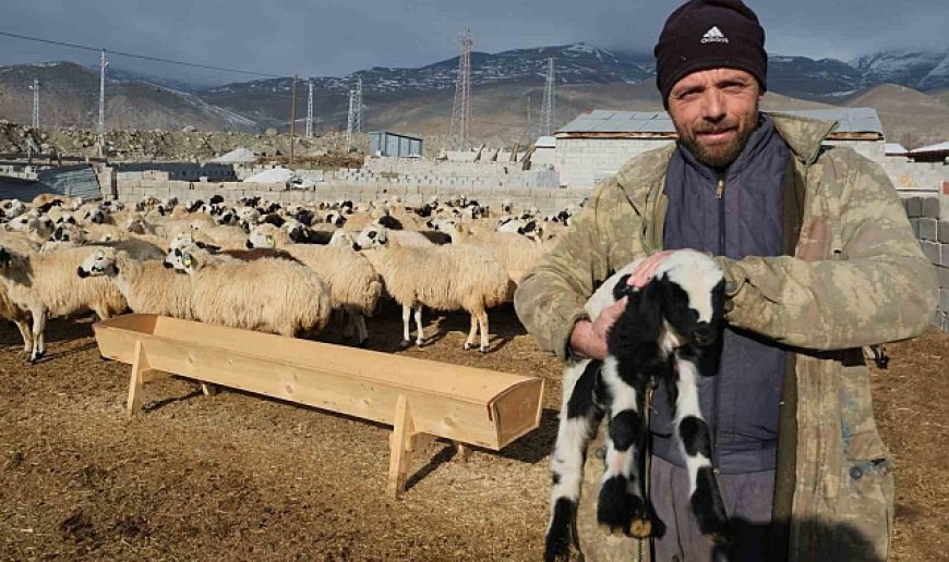 Erzincanlı üreticilerden çağrı: "Tulum Peyniri bizden 100'e çıkıyor, markette 400 oluyor"