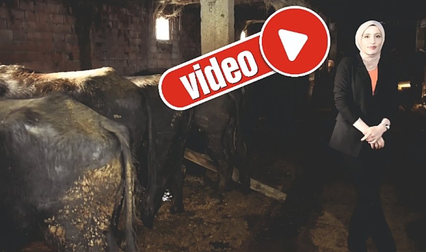 Uzman Eller Projesi ile işe başladı, şimdi işletmesini büyütüyor