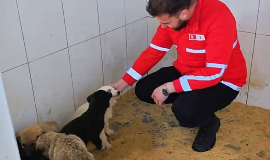 Kızılay gönüllüleri barınağı ziyaret etti