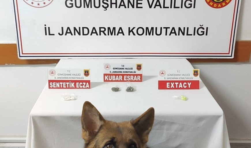 Jandarma, Rize'den Gümüşhane'ye uyuşturucu getirenleri yakaladı
