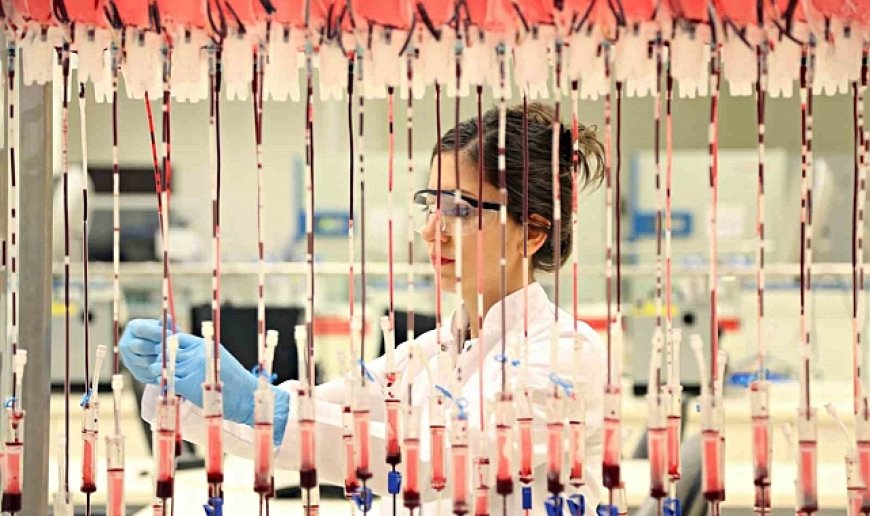 Türk Kızılay 2025 yılında 3 milyon ünite kan bağışı hedefliyor
