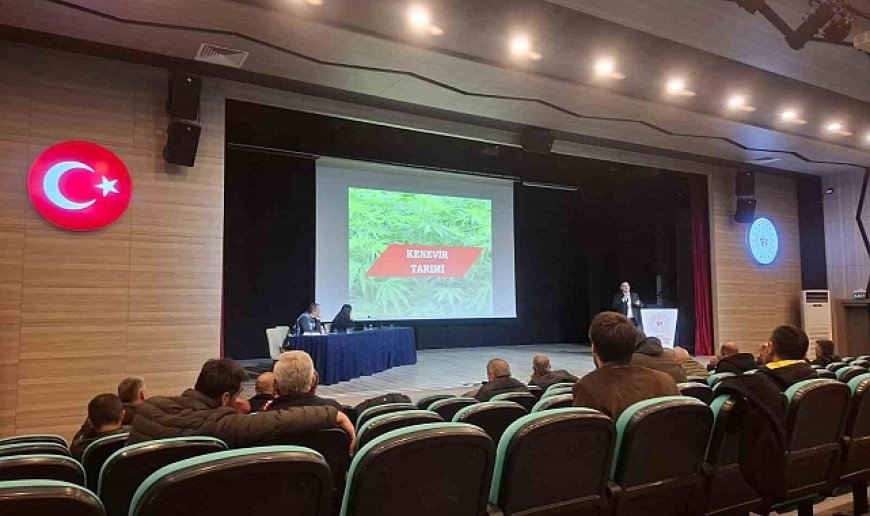 Kaçak kenevir ekimiyle mücadele