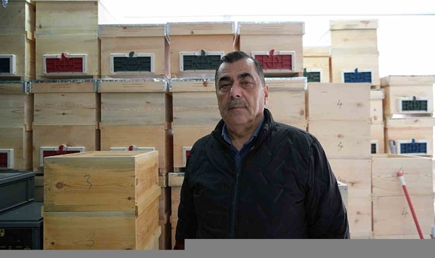 Arı ölümleri korkutuyor