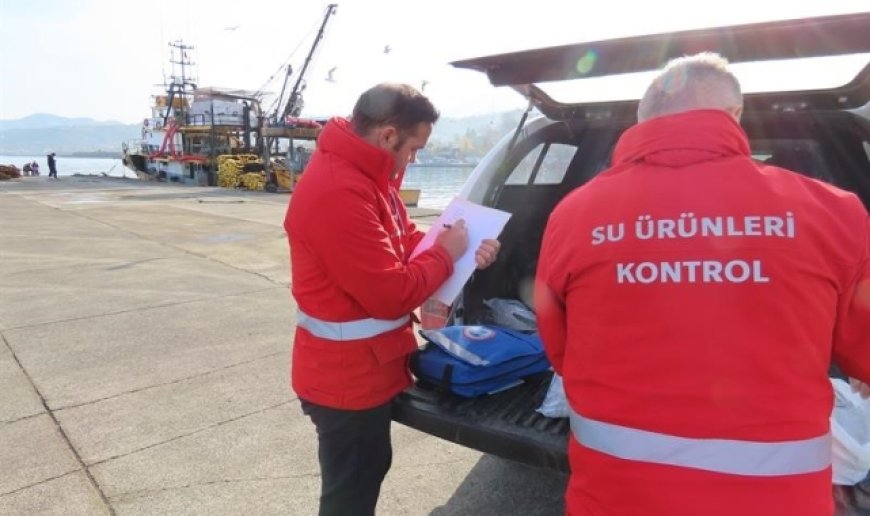 Trabzon'da belirlenen limitlerin altında avlanan balıkçılara 2 milyon 390 bin TL para cezası