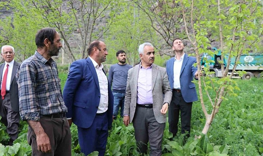'Meyve deposu' Ayvalı Mahallesi'nde don meyve ağaçlarına zarar verdi