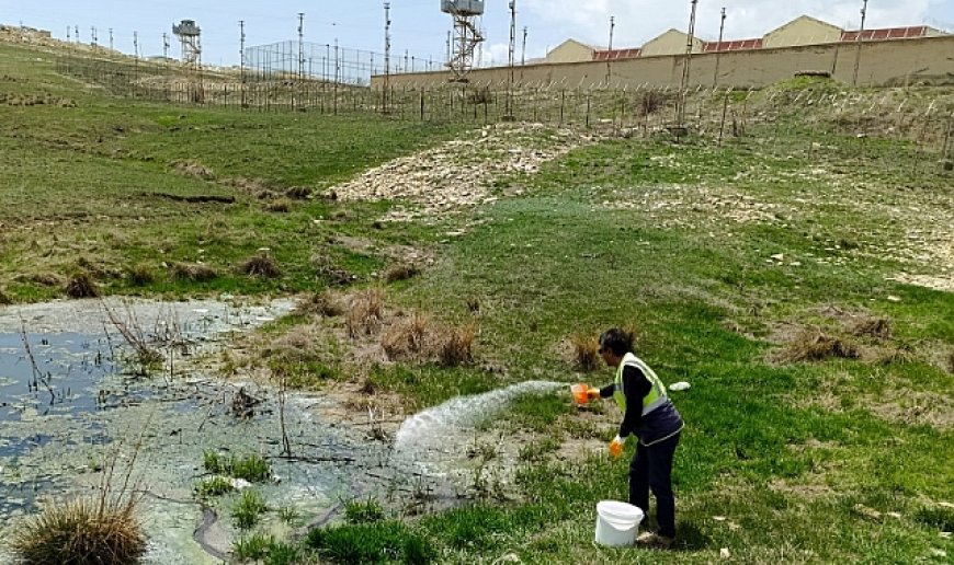 Belediye ilaçlama çalışması başlattı
