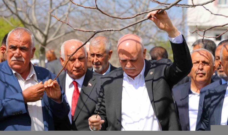 TZOB Genel Başkanı Bayraktar: "65 ilimizde meyve bahçelerimiz don felaketinden etkilendi"