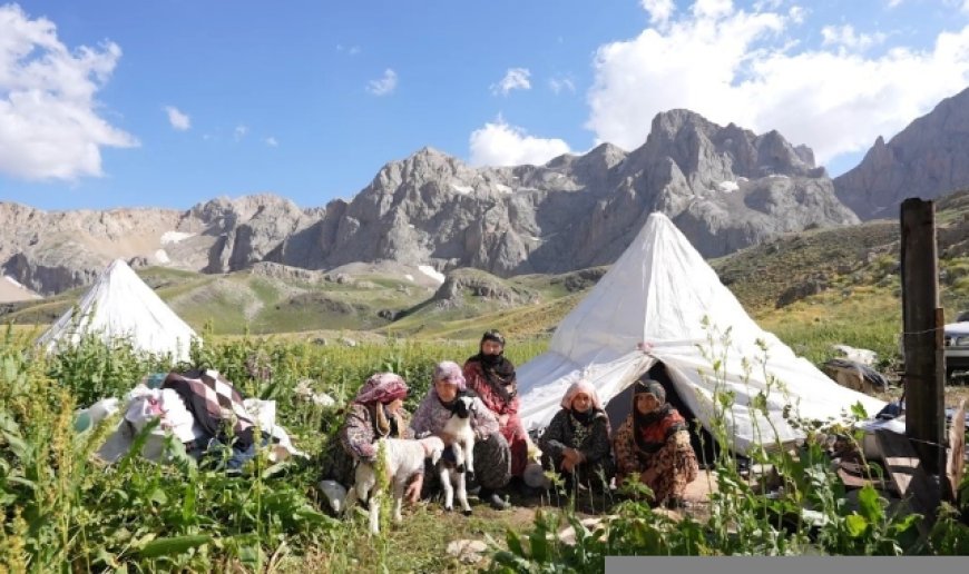 Sohmarik Yaylası doğaseverlerin gözdesi