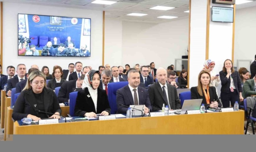 TCMB Başkanı Karahan: "Zirai donun enflasyona etkisi 0,4 puan"