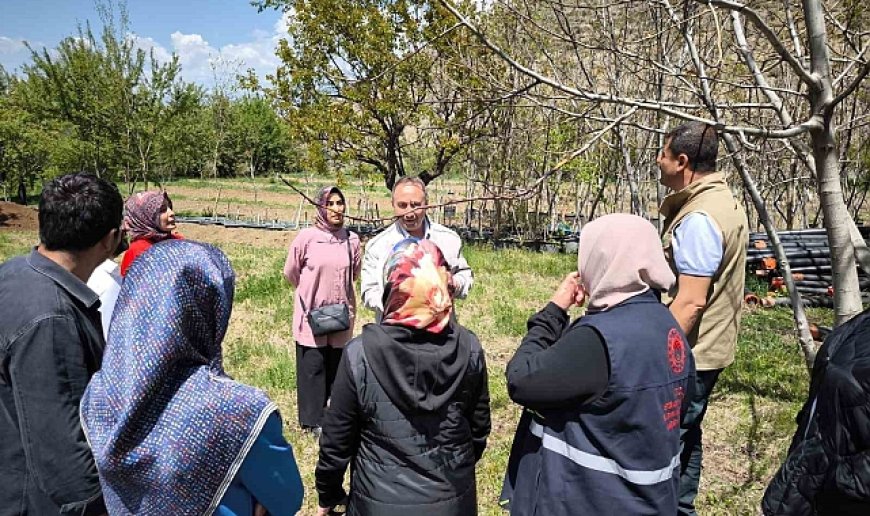 Zirai dona karşı sigorta yaptıran çiftçilerin zararları inceleniyor