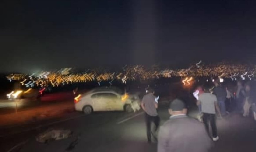 Otomobil koyun sürüsüne daldı: 15 koyun telef oldu