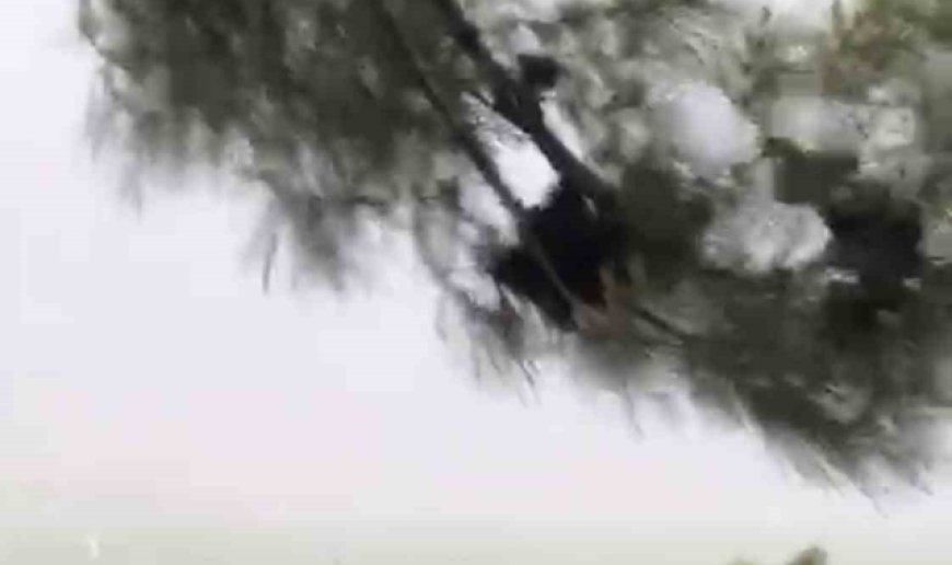 Elazığ'da fırtına etkili oldu