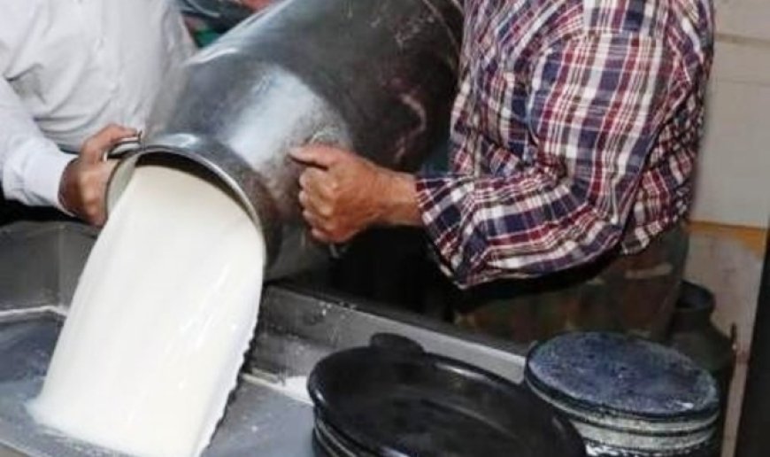 Ticari süt işletmelerince 1 milyon 15 bin 647 ton inek sütü toplandı