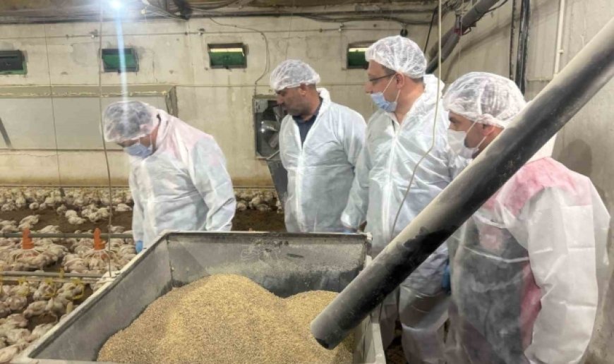 Mart ayında yıllık tavuk yumurtası üretimi yüzde 8,8 azaldı