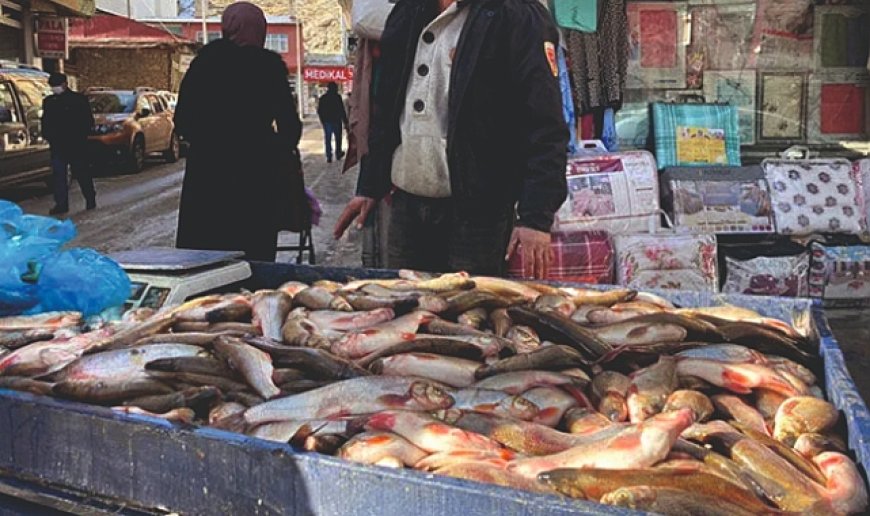Dikkat! Av yasağı başladı