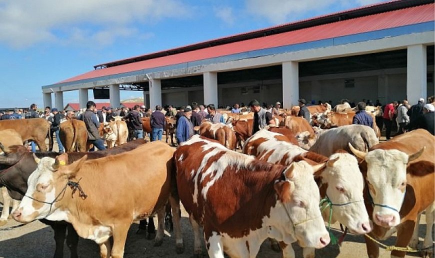 Kurban kesim yerleri belirlendi