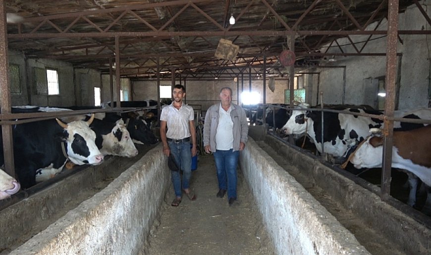 Kurbanlık alırken küpe ve ağırlık uyarısı