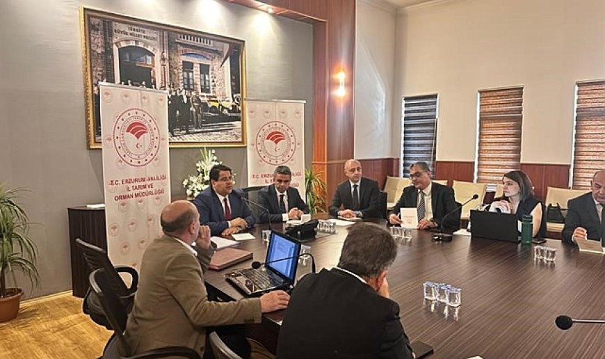 Erzurum'un mera varlığı masaya yatırıldı