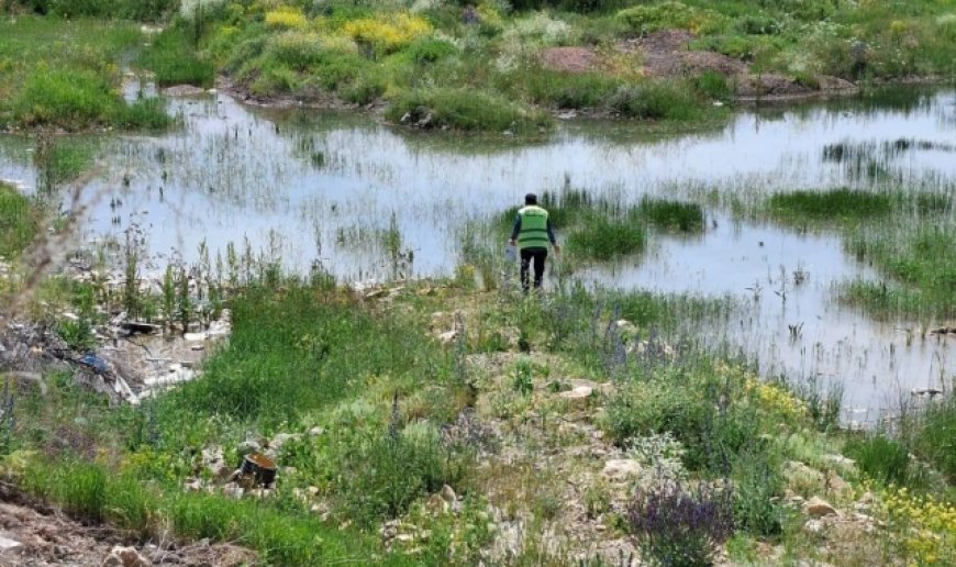 Bayburt'ta kene, bit, pire ve larvalara karşı çalışma başlatıldı