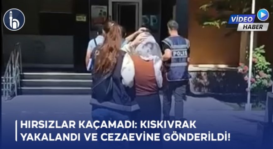 Hırsızlar Kaçamadı: Kıskıvrak Yakalandı ve Bayburt'ta Cezaevine Gönderildi!