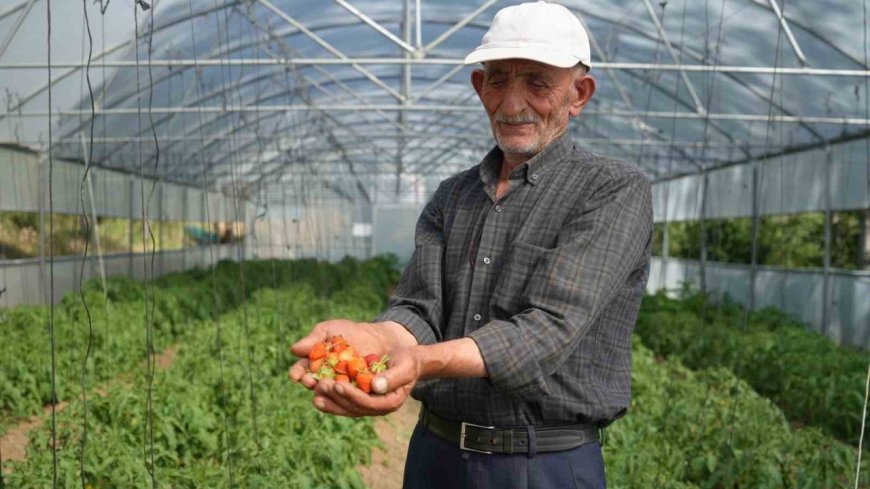 Bayburtlu çiftçinin yıkılan serası devlet eliyle yeniden ayağa kaldırıldı