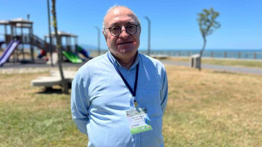 İklim değişikliği bin kat hızlandı: Kıyılar tehlikede, ekosistem alarm veriyor