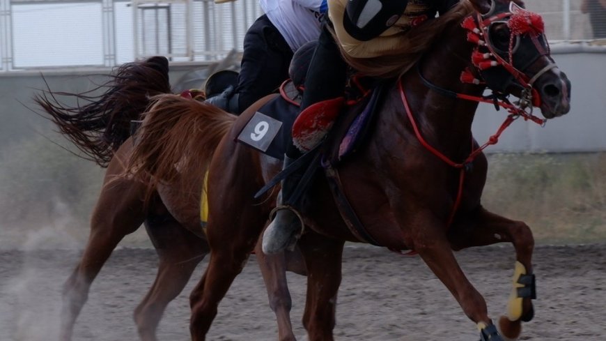 Erzurum’da bitmeyen cirit heyecanı
