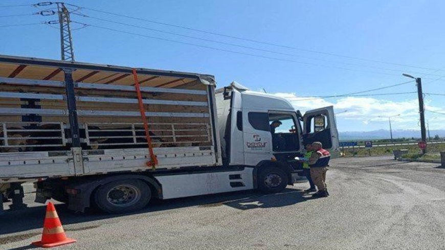 Jandarma ekiplerinden düzensiz göçmen operasyonu