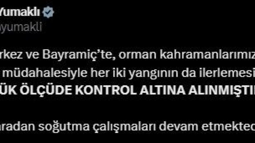 Bakan Yumaklı: "Yangınlar büyük ölçüde kontrol altına alınmıştır"