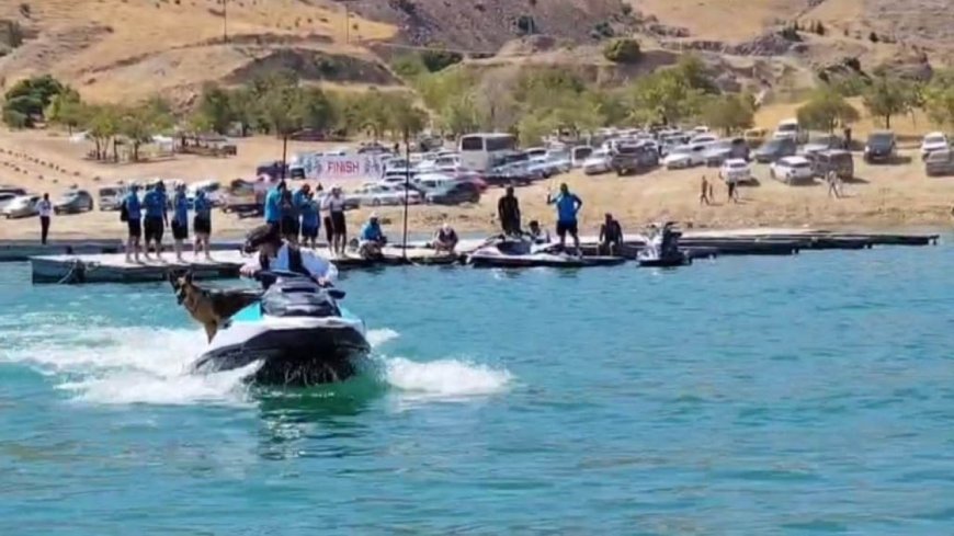 Elazığ’da sahibiyle jet ski turu atan köpek gülümsetti