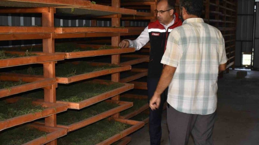 Tarhun Kurutma Tesisi ve üretim alanları incelendi