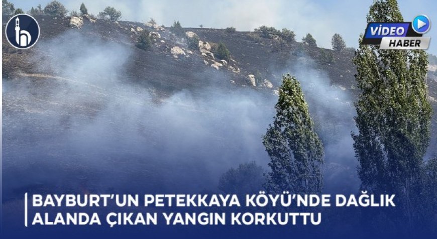 Bayburt'un Petekkaya Köyü’nde Dağlık Alanda Çıkan Yangın Korkuttu!